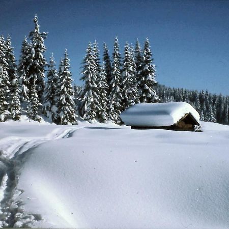 Ferienhaus Beim Veitele Διαμέρισμα Mittenwald Εξωτερικό φωτογραφία