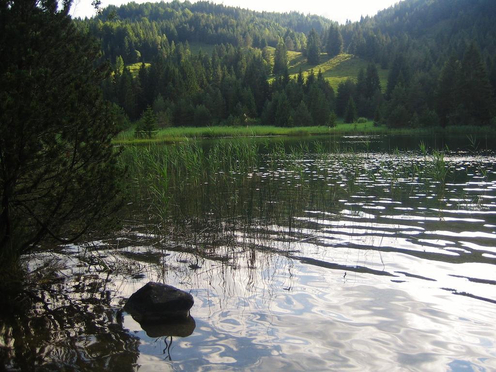 Ferienhaus Beim Veitele Διαμέρισμα Mittenwald Εξωτερικό φωτογραφία