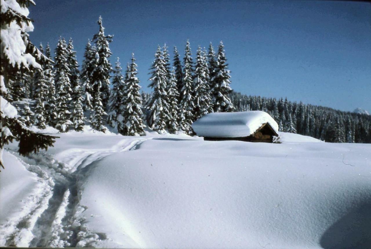 Ferienhaus Beim Veitele Διαμέρισμα Mittenwald Εξωτερικό φωτογραφία